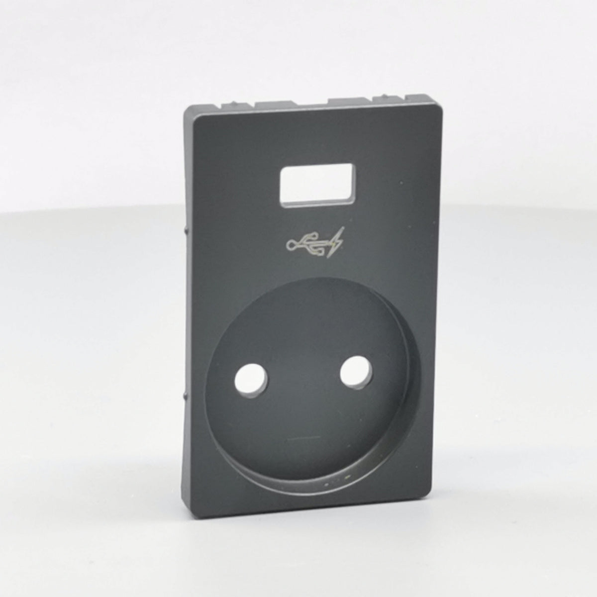 Fuga afdækning stokkontakt u/j med 5V USB koksgrå (360° frame 24)