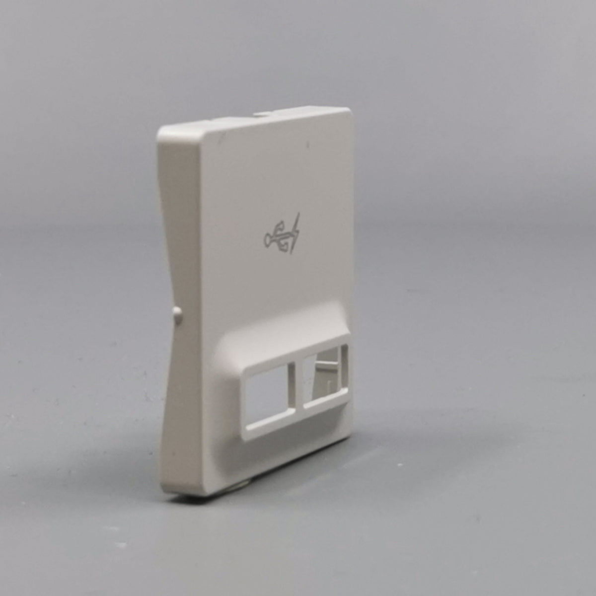 Fuga afdækning til 2 USB-ladere lysegrå (360° frame 21)