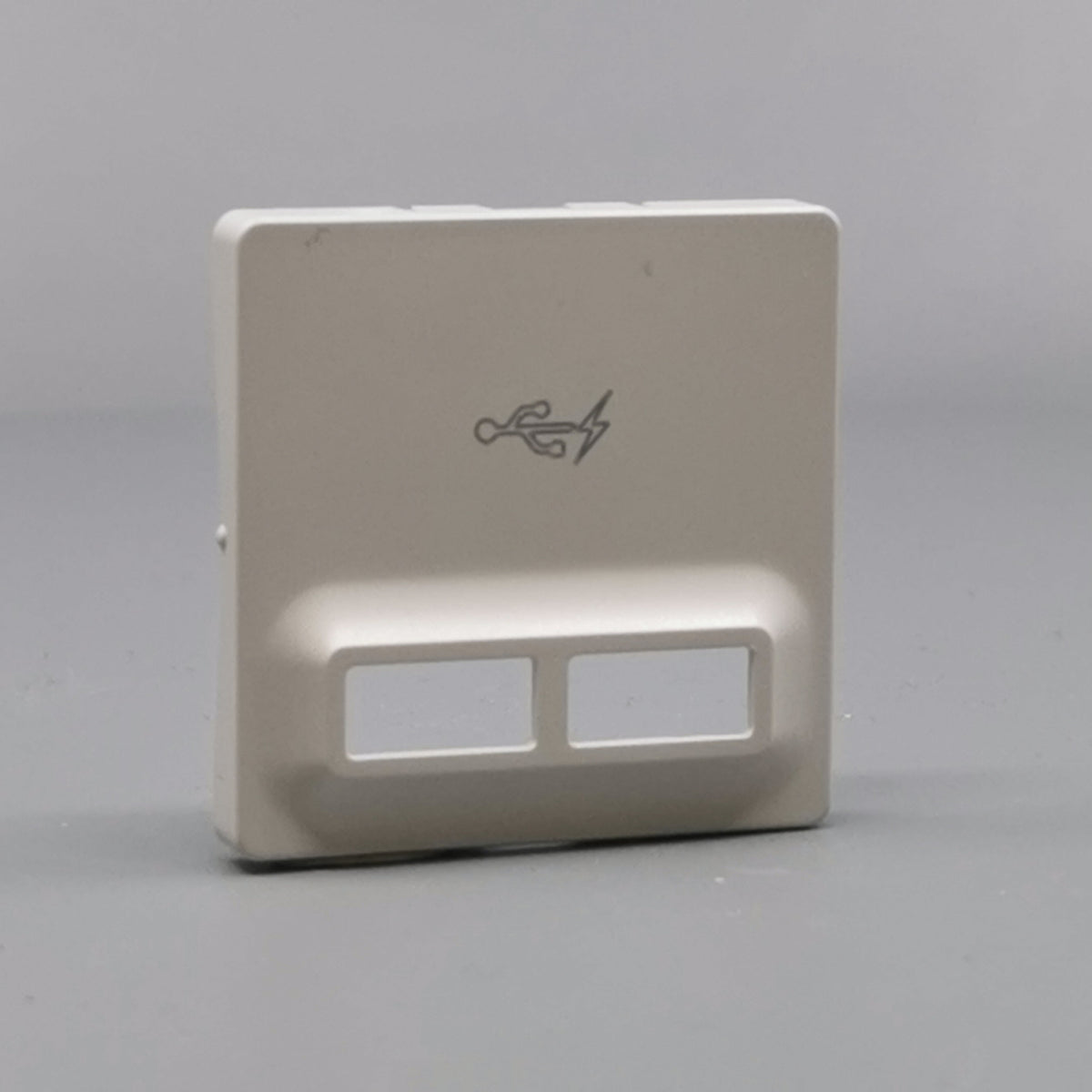 Fuga afdækning til 2 USB-ladere lysegrå (360° frame 24)