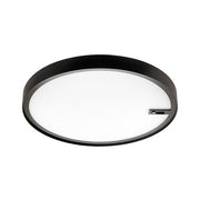 DISC 480 CONNECT SORT 3000K