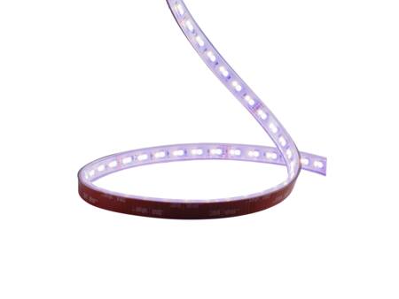 LEDSTRIP 24V IP67 RGBW 5M