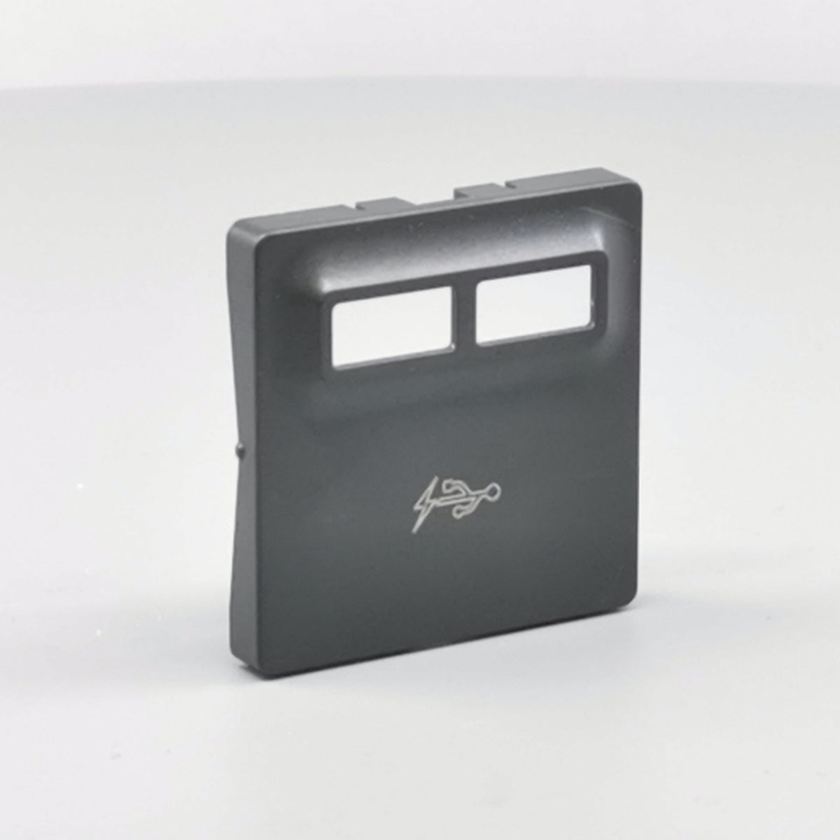 Fuga afdækning til 2 USB-ladere koksgrå (360° frame 23)