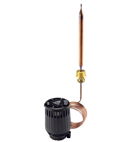RAVI 43-65GR TERMOST. ELEMENT