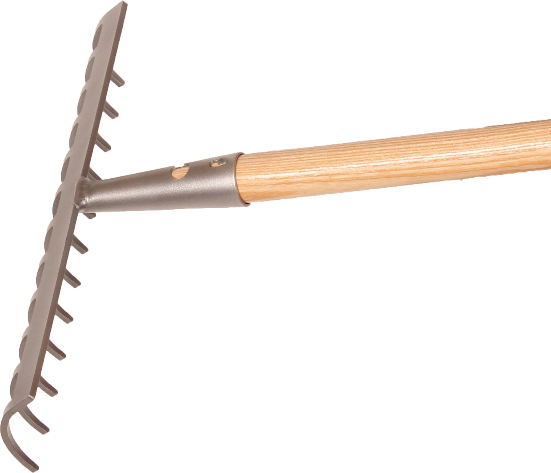 Galax rive, 12-tands/30,5 cm