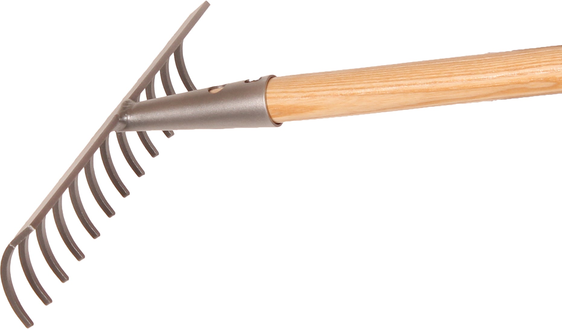 Galax rive, 12-tands/30,5 cm