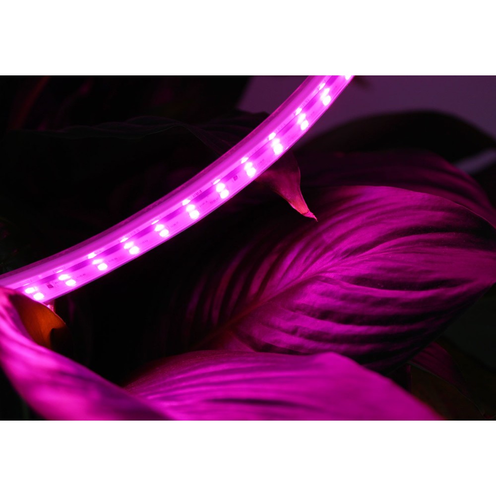 5 meter vandtæt LED strip med 180 LED, 10W pr. meter - IP67, 230V