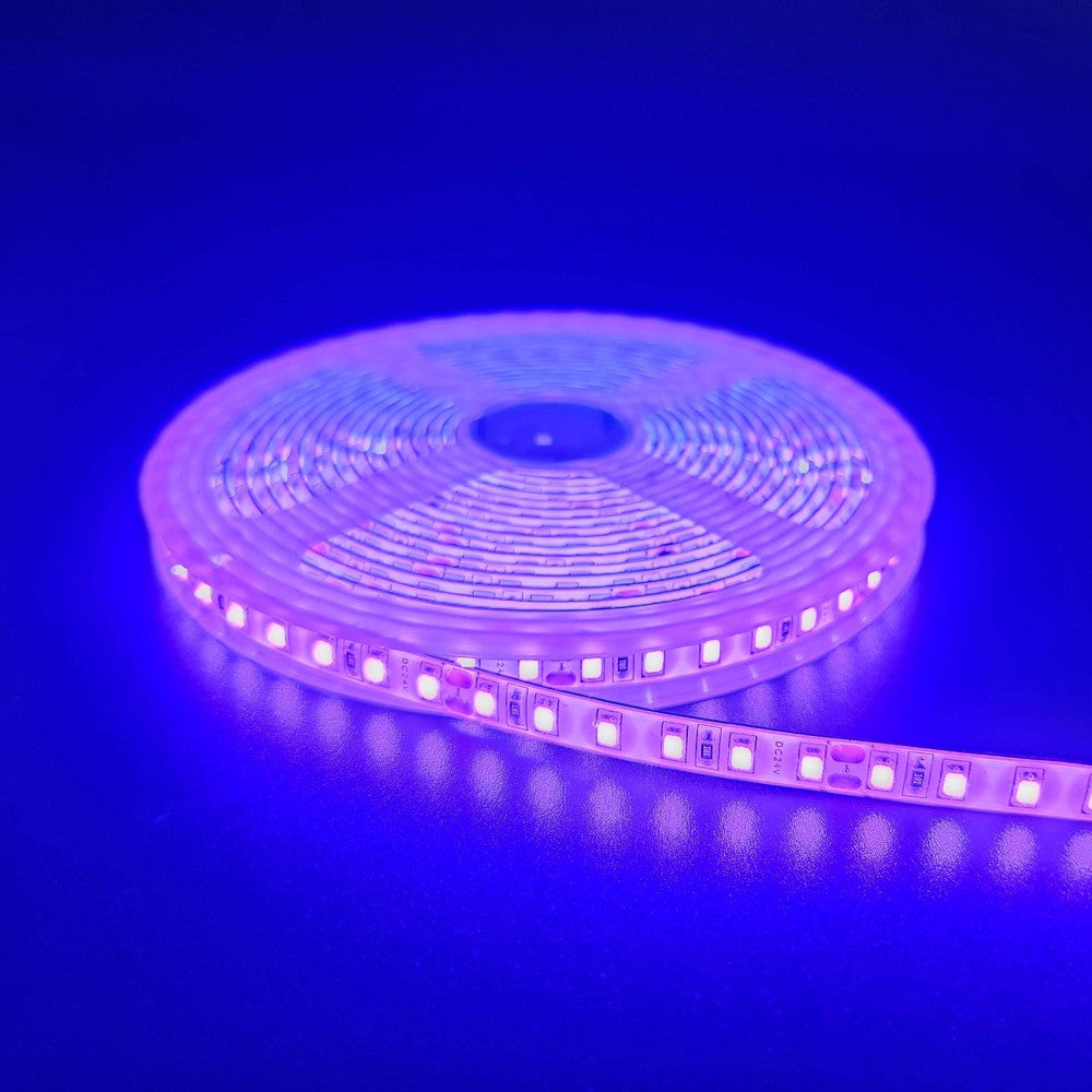 Lilla 10W/m LED Strip - 5m, 120 LED pr. meter, 24V, IP65 (5 meter)