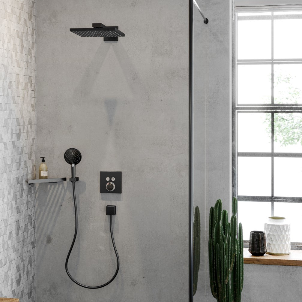 Hansgrohe Raindance Select S håndbruser 120, mat sort
