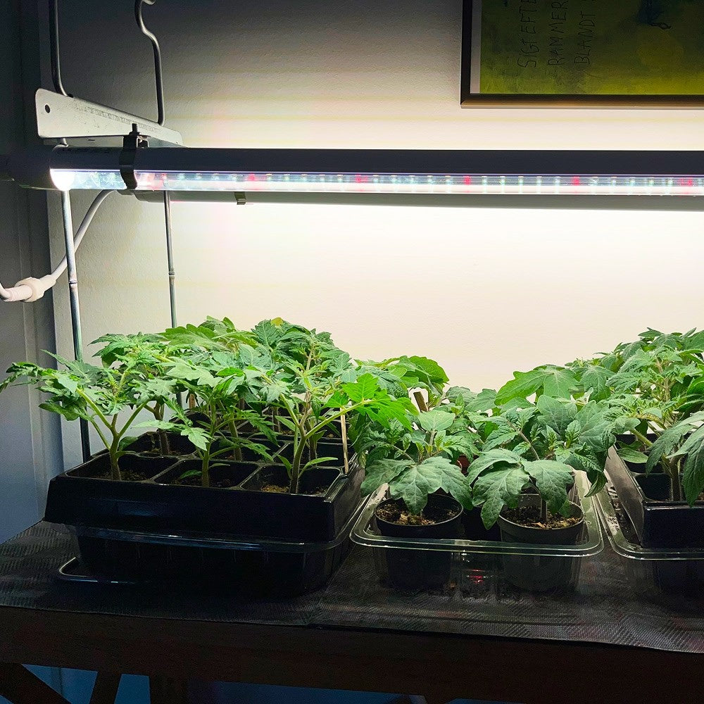 LEDlife Pro-Grow 2.0 vækst sæt - 120 cm, 36W LED, fuldt spektrum - IP65, 18W, 230V