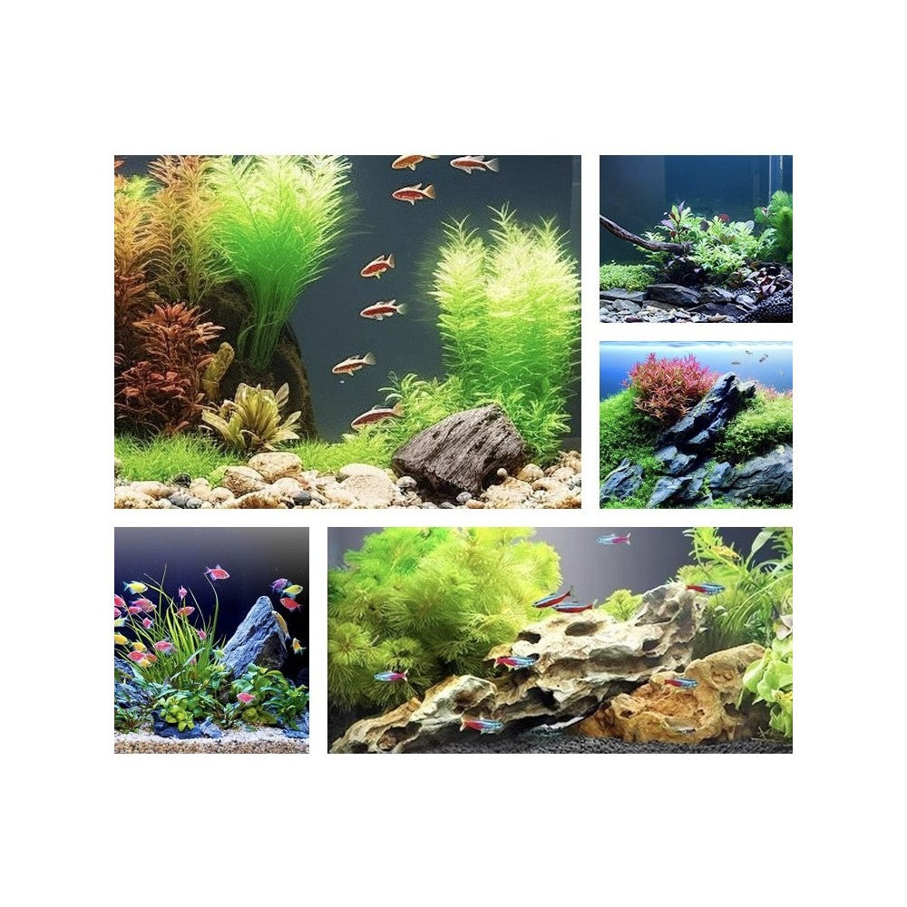 90 cm RGBW akvarie armatur - 25W LED, IP67 - Vandtæt og energieffektiv belysning til dit akvarium.