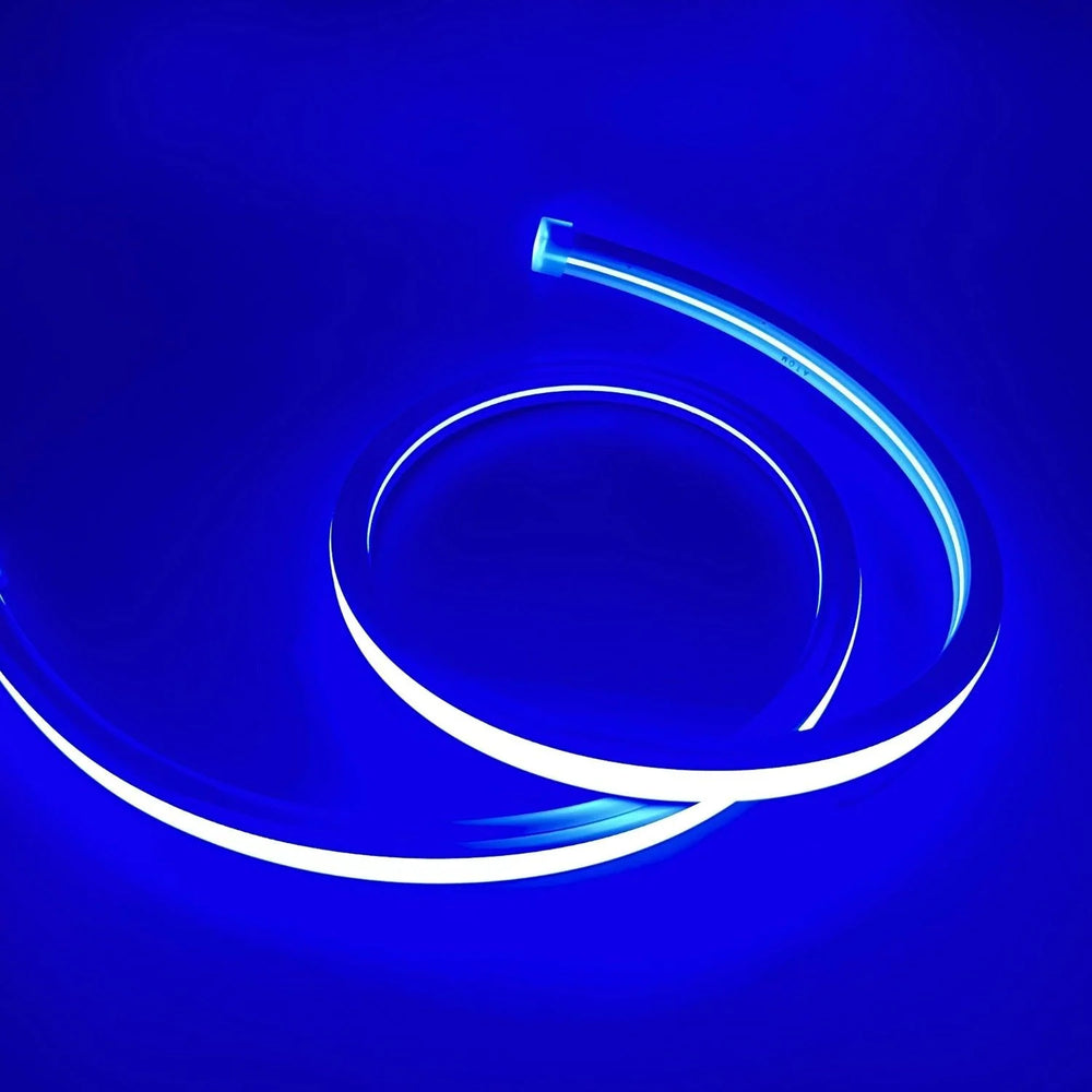 AnyCut Neon Flex 10x10 Blå LED strip - 5m, 8W/m, 12V, Ingen klippeafstand