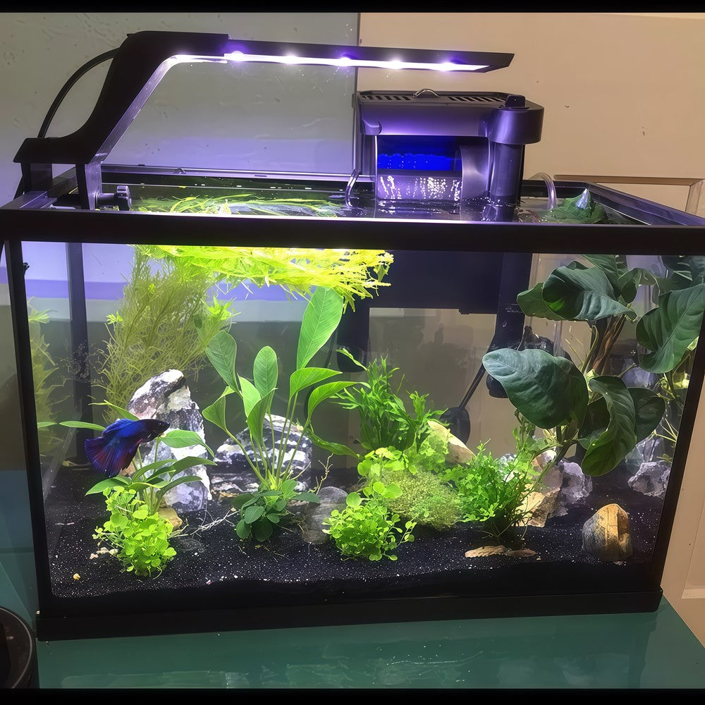 27,5 cm Akvarielampe - 10W LED, Hvid/Blå, Effekt: 10W, Input: 230V, 800lm