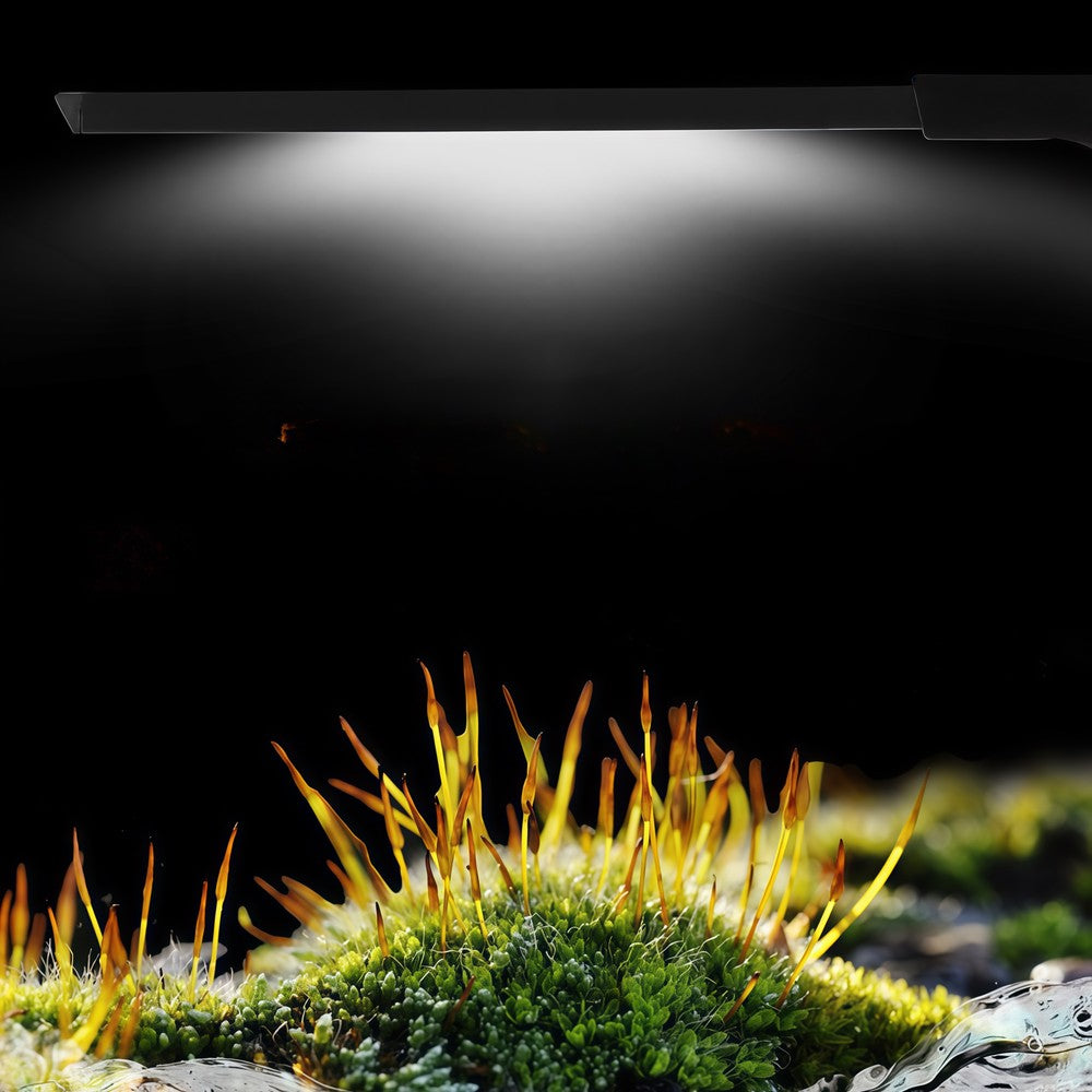 27,5 cm Akvarielampe - 10W LED, Hvid/Blå, Effekt: 10W, Input: 230V, 800lm