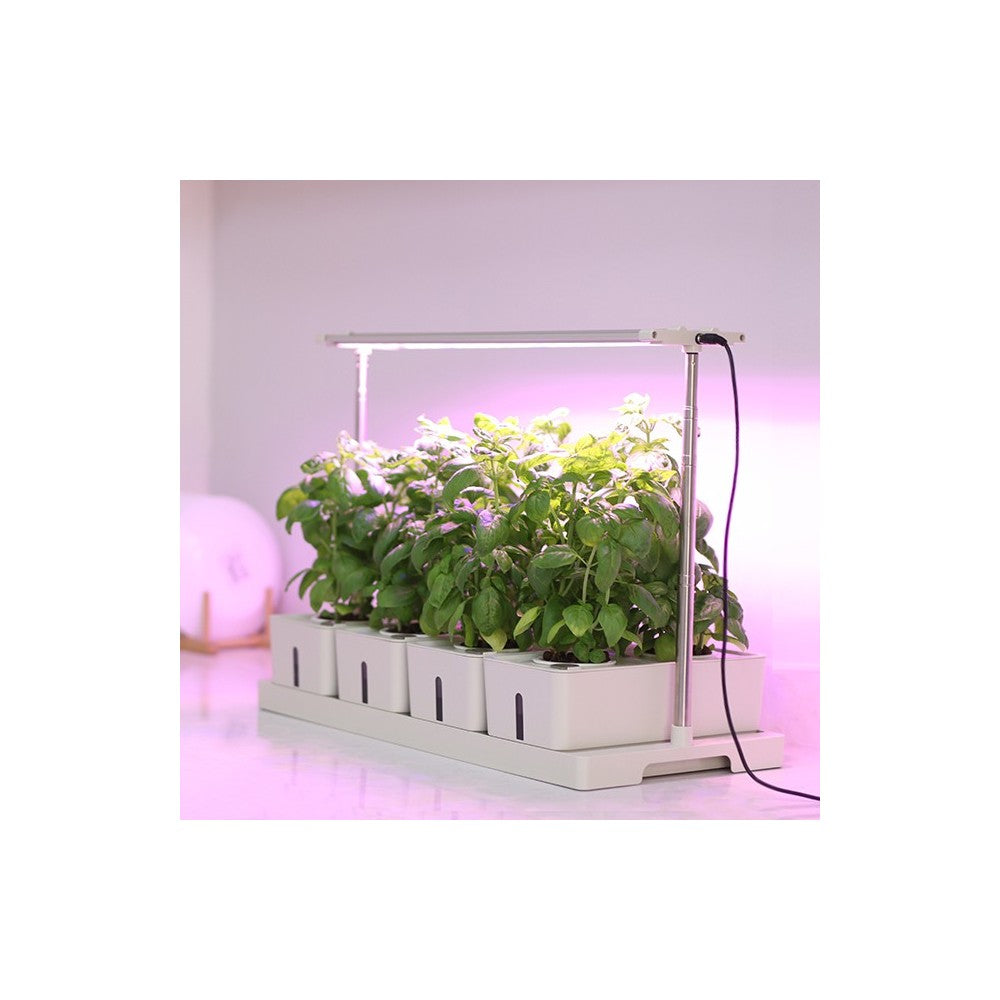 LEDlife Hydroponisk Plantebakke - Hvid, Inkl. Vækstlys, 20 Pladser, 4x2L Vandtank, 34W Effekt