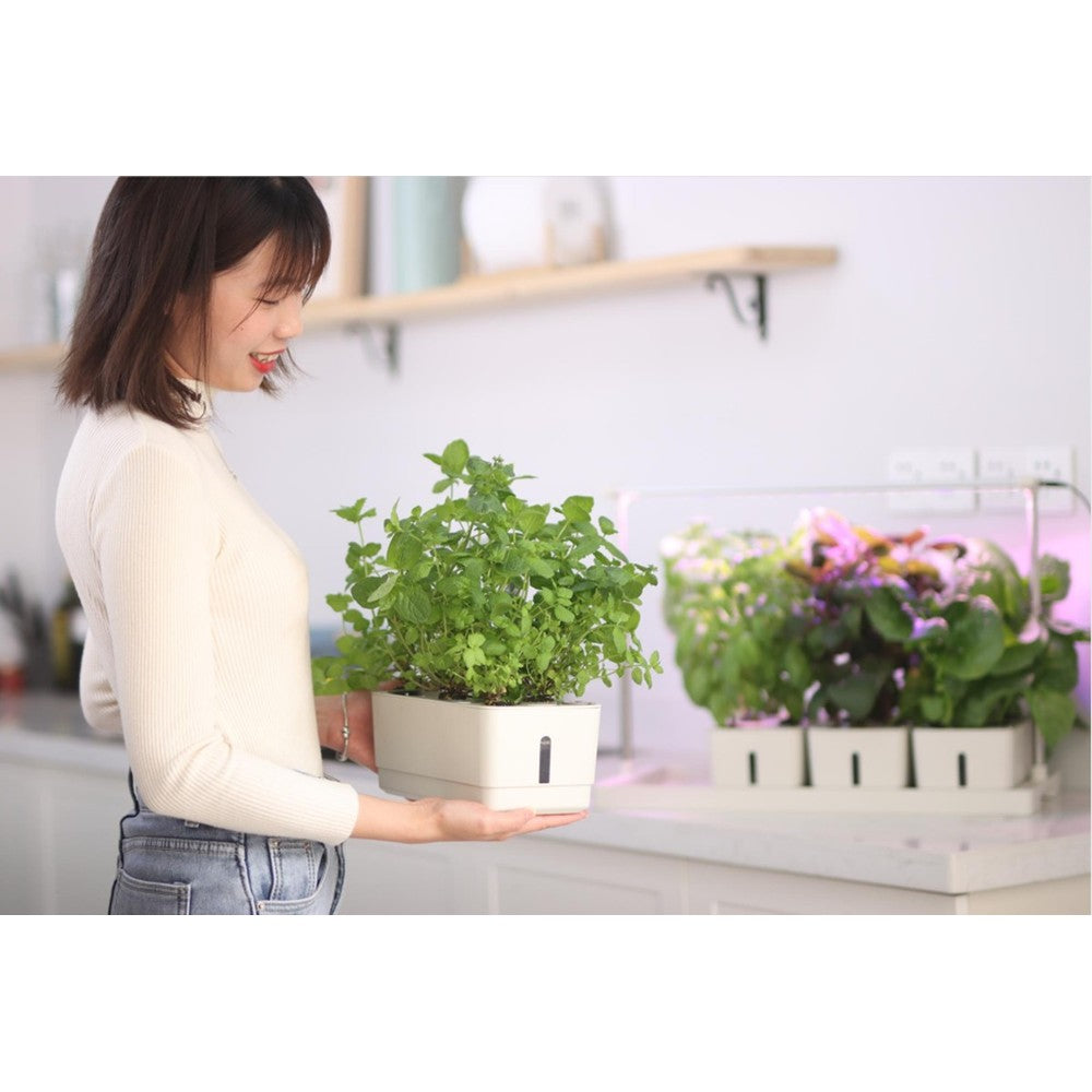LEDlife Hydroponisk Plantebakke - Hvid, Inkl. Vækstlys, 20 Pladser, 4x2L Vandtank, 34W Effekt