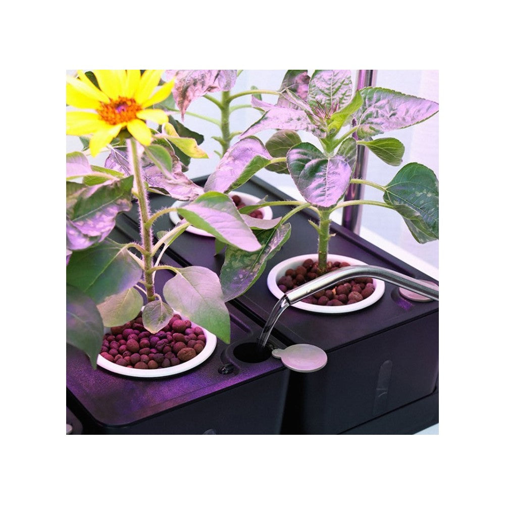 LEDlife Hydroponisk Plantebakke - Hvid, Inkl. Vækstlys, 20 Pladser, 4x2L Vandtank, 34W Effekt