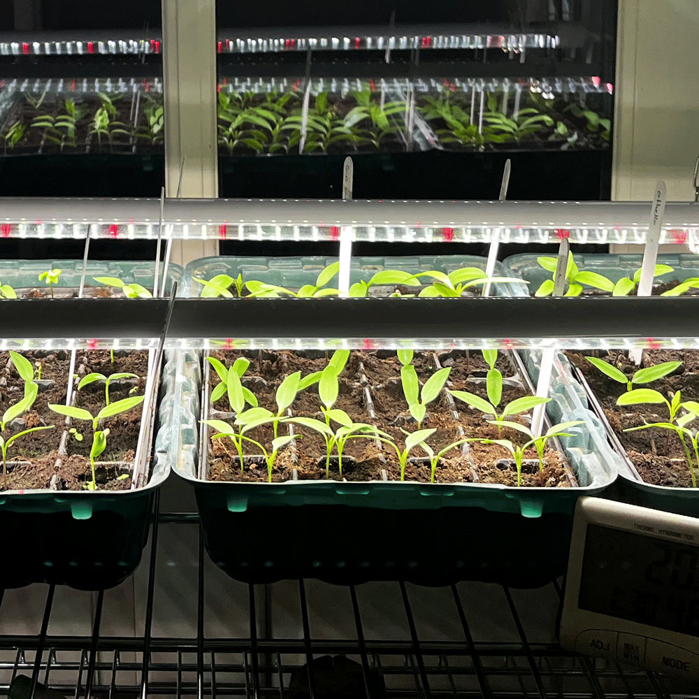 LEDlife Pro-Grow 2.0 Vækstarmatur - 120 cm, 18W LED, fuldt spektrum, IP65