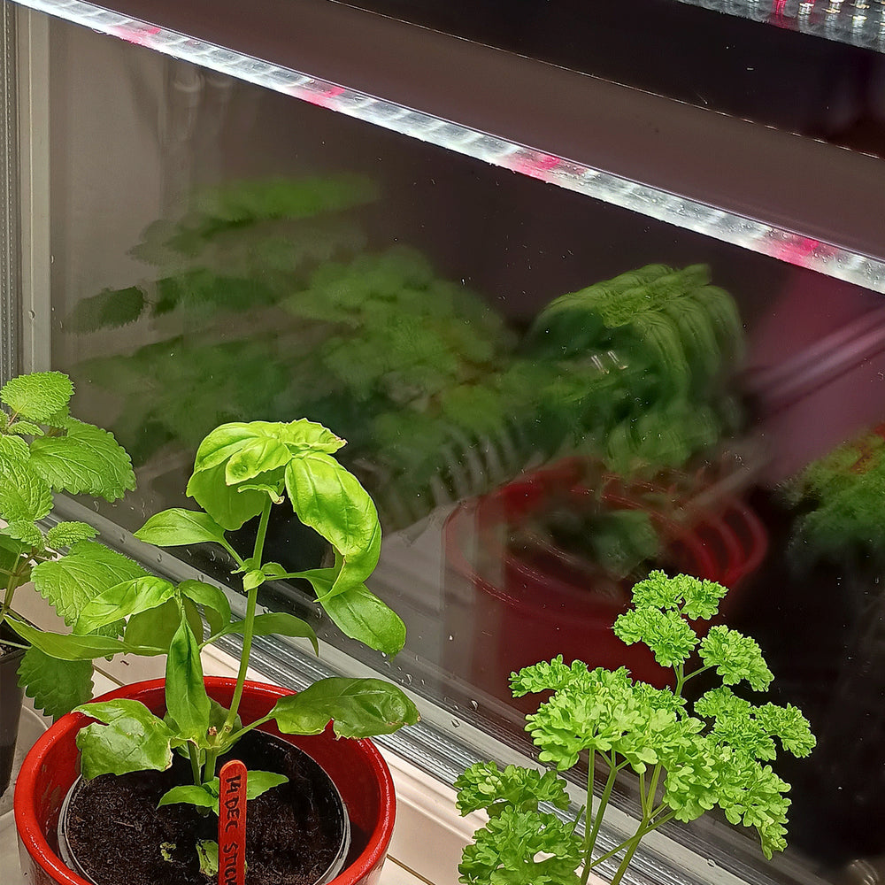 LEDlife Pro-Grow 2.0 Vækstarmatur - 120 cm, 18W LED, fuldt spektrum, IP65