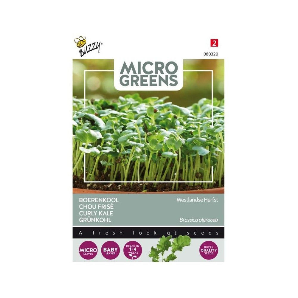Microgreens - Økologisk Grønkål Westland efterår