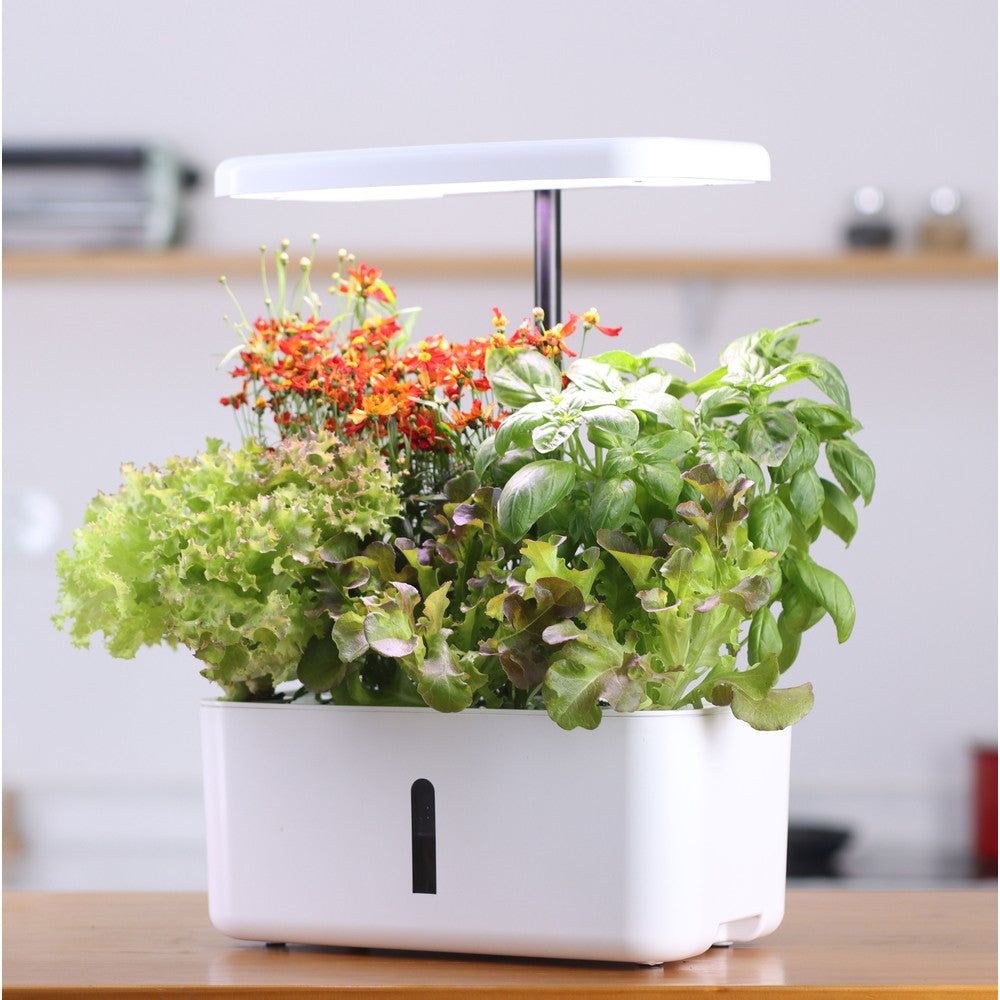 LEDlife hydroponisk køkkenhave - Hvid, inkl. vækstlys, 8 pladser, timer, 2,8L vandtank, 18W effekt