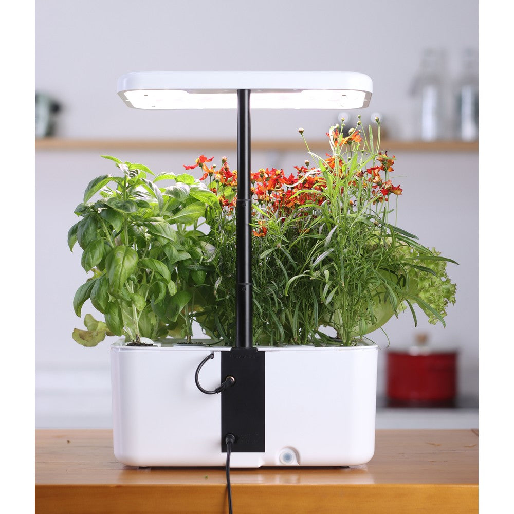 LEDlife hydroponisk køkkenhave - Hvid, inkl. vækstlys, 8 pladser, timer, 2,8L vandtank, 18W effekt