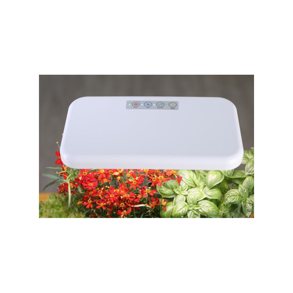 LEDlife hydroponisk køkkenhave - Hvid, inkl. vækstlys, 8 pladser, timer, 2,8L vandtank, 18W effekt