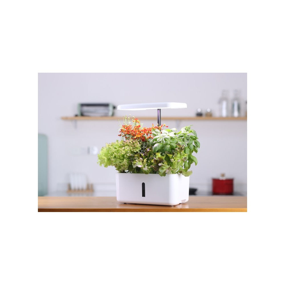 LEDlife hydroponisk køkkenhave - Hvid, inkl. vækstlys, 8 pladser, timer, 2,8L vandtank, 18W effekt
