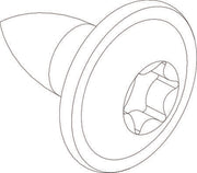 SKRUE GEVINDFORMEDE, TORX
