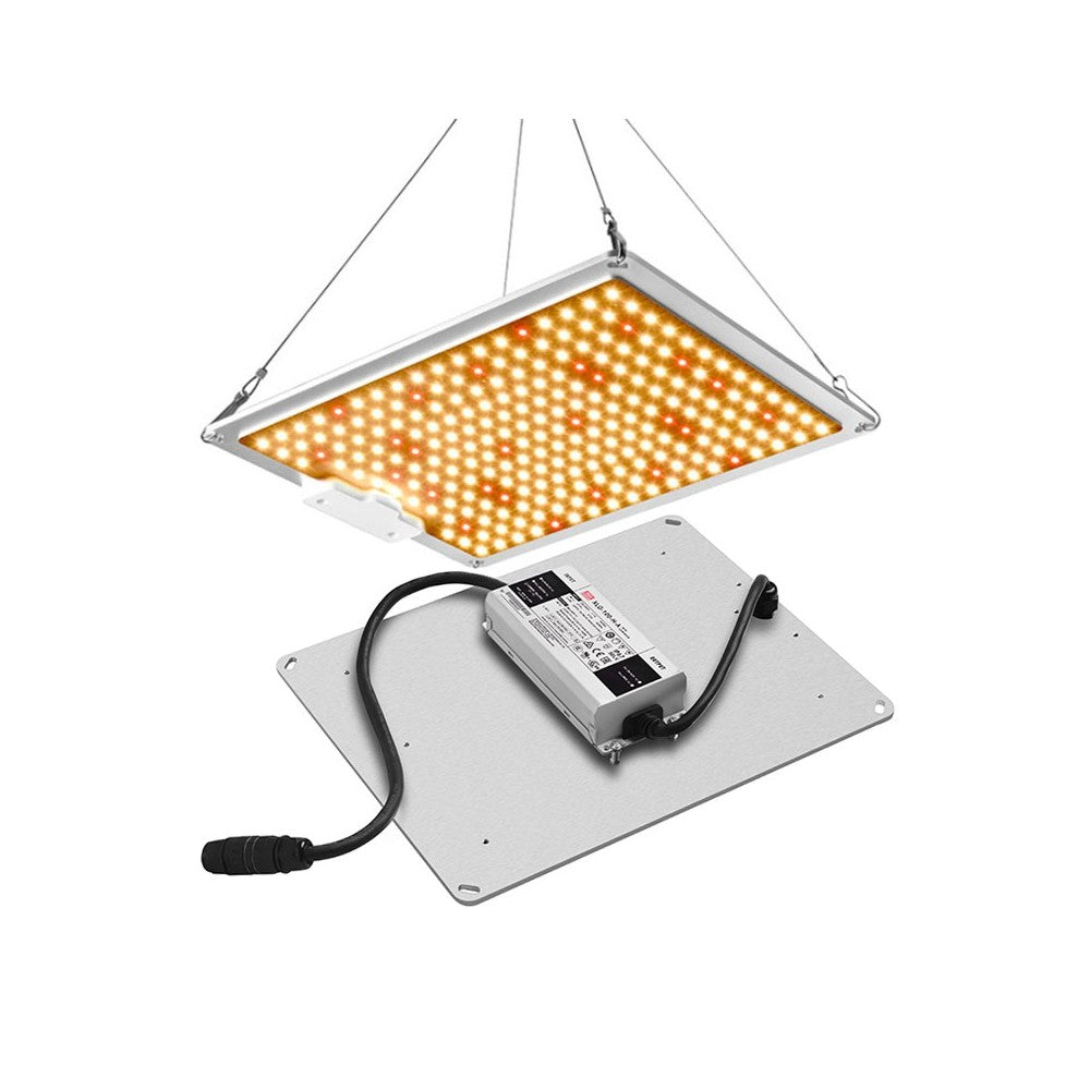 Samsung Quantum board 105W vækstlampe - Fuldt spektrum, dæmper, inkl. ophæng, IP65