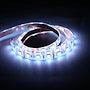STRIP IP65 5M 12V RGB 11,5W/M