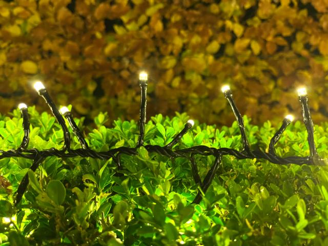 Cluster lyskæde 300LED 5M 31V IP44 PVC (u/trafo)
