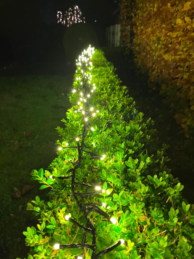 Cluster lyskæde 300LED 5M 31V IP44 PVC (u/trafo)