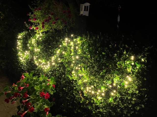 Cluster lyskæde 300LED 5M 31V IP44 PVC (u/trafo)
