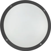 OKO ÅBEN 6W/12W 530-920LM CCT IK10 ANT