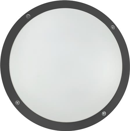 OKO ÅBEN 6W/12W 530-920LM CCT IK10 ANT