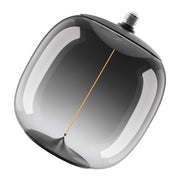 1906 BIG OVAL MAG SMOKE 12W/818 E27 DIM