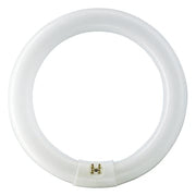 LYSRØR TL-E CIRCULAR 22W/840 1C