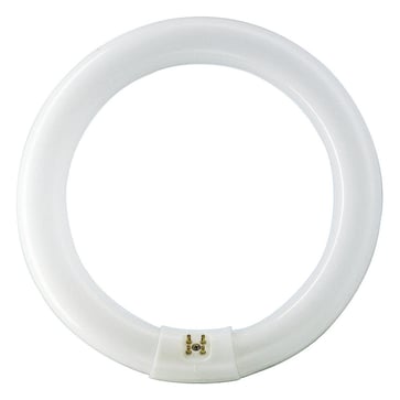LYSRØR TL-E CIRCULAR 22W/840 1C