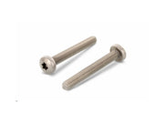 Maskinskrue, panhoved - M2x10mm, TX6, A2 rustfri (100 stk.)