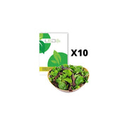 10 ps. Pluksalat frø - Blandet Baby Leaf