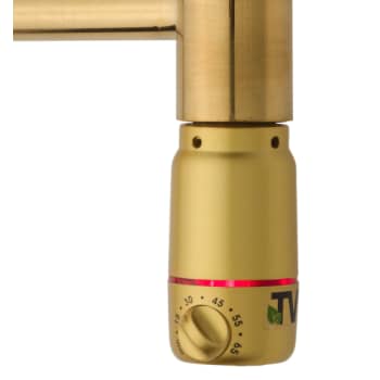 TVS VARMELEGEME BØRSTET GULD