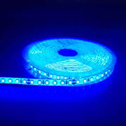 Blå 10W/m LED strip - 5m, 120 LED pr. meter, 24V, IP65, Vandtæt LED belysning til indendørs og udendørs brug, 5 meter lang med høj lysstyrke og lavt strømforbrug