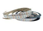 TW LED Bånd 24V 38,4W 2700-5000K IP20 - 480LED/m
