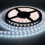 10,8W/m LED bånd 6000K, Hvid, 5 meter, 12V
