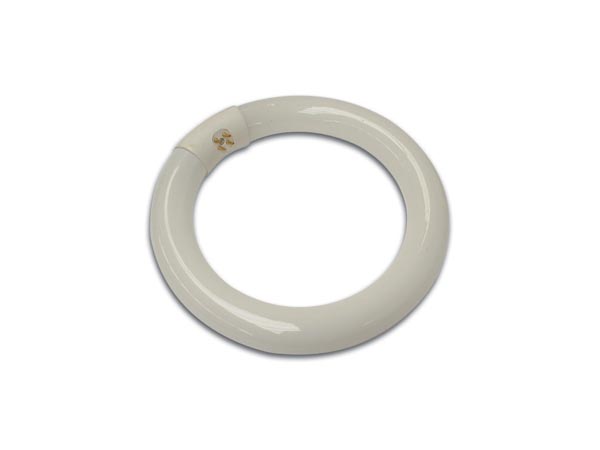 T9 Cirkulær Lysstofrør - 22W, G10q sokkel (Ø210mm)