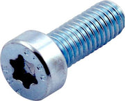 100 CYLINDERSKRUE, TORX, LAVT HOVED