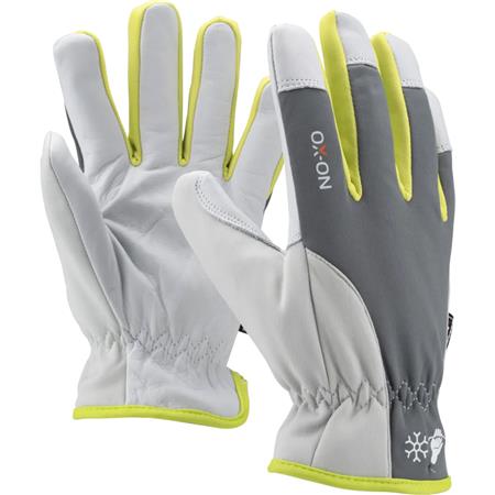 VINTERHANDSKER SUPREME 3600 S.10