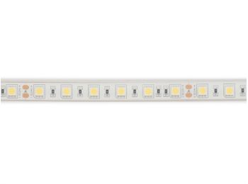 Vandtæt LED Strip (IP66) - 24V, 300 LED, Kold hvid (5m)