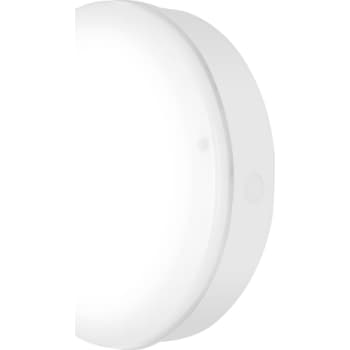 LEDV Surface Bulkhead Outdoor 800lm 250mm 10W/830 IK10 hv IP65