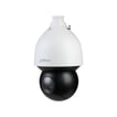 4MP 32x Zoom Starlight IR WizSense Network Dome PTZ Camera 4.8 mm154 mm IR 150m SIP67 IK10 SD5A432G